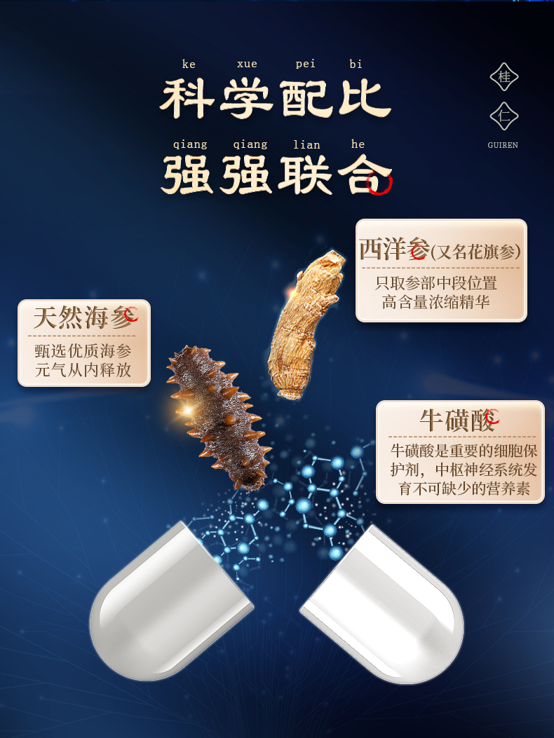 海參詳情_02