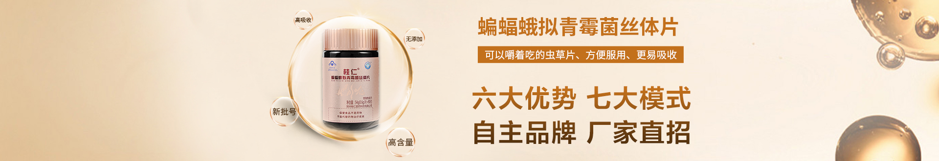 桂仁蟲草片
